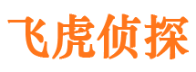 工布江达市调查公司